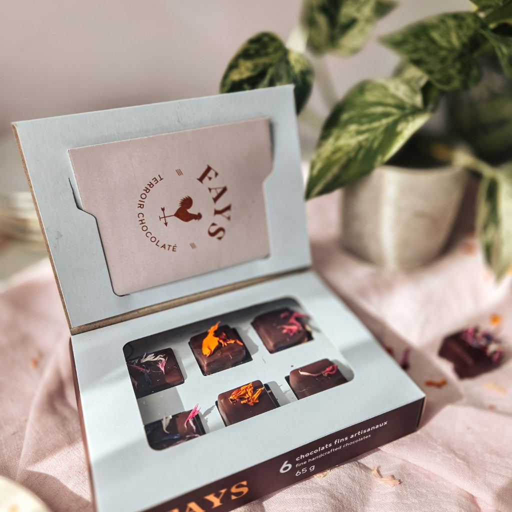 Boîte de 6 chocolats fins