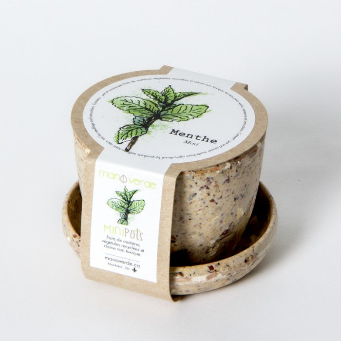 Minipots Mano Verde